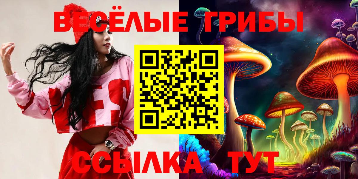 Галлюциногенные грибы Cubensis Качканар